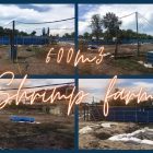 applications-600m3 shrimp farming tanks-blue pvc frame tanks