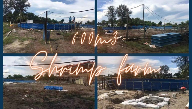 applications-600m3 shrimp farming tanks-blue pvc frame tanks