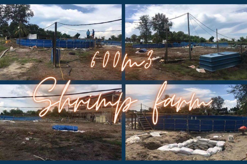 applications-600m3 shrimp farming tanks-blue pvc frame tanks