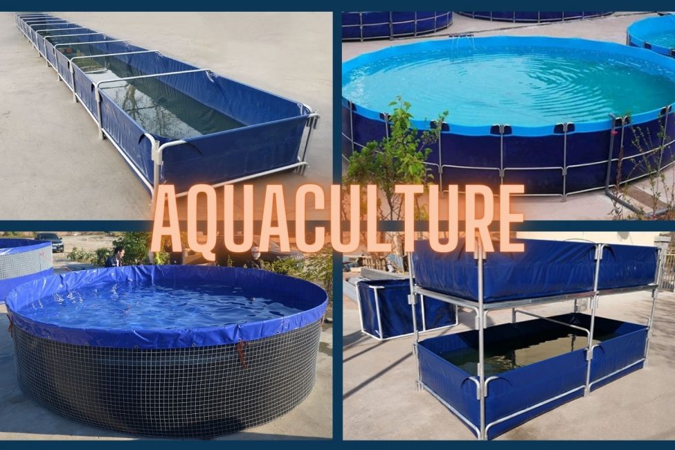 blog-biofloc tank blog-biofloc tank-how to choose an aquaculture tank