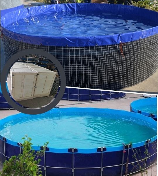 frame pool-above ground tanks