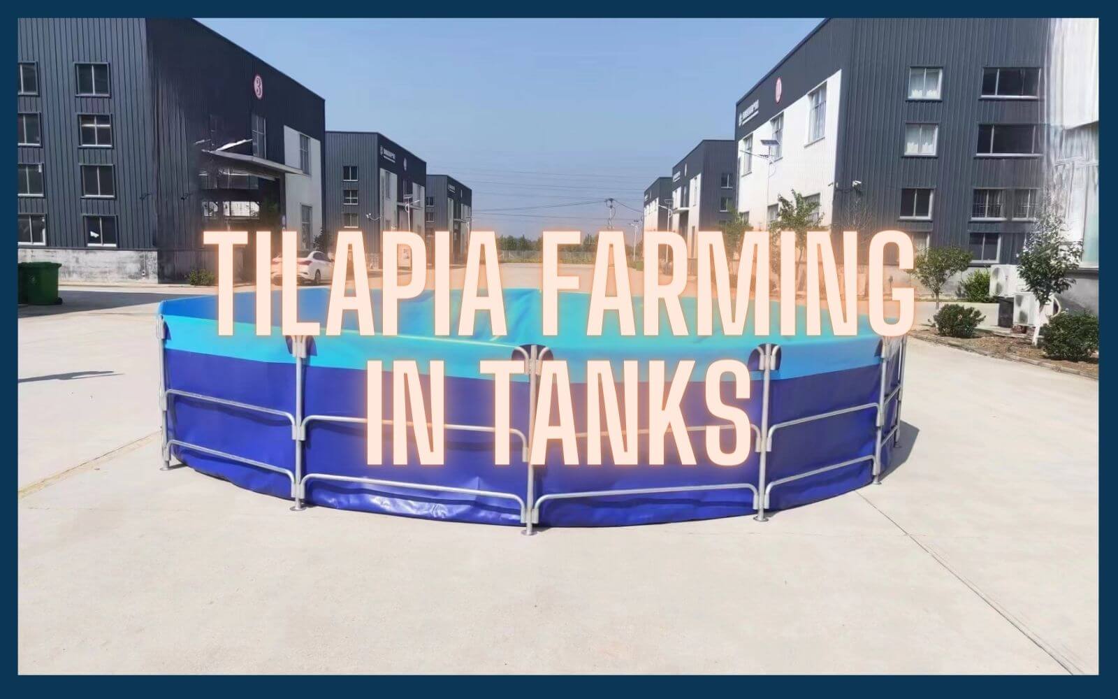 blog-tilapia farming in tanks tilapia farming in tanks-collapsible fish farming tanks