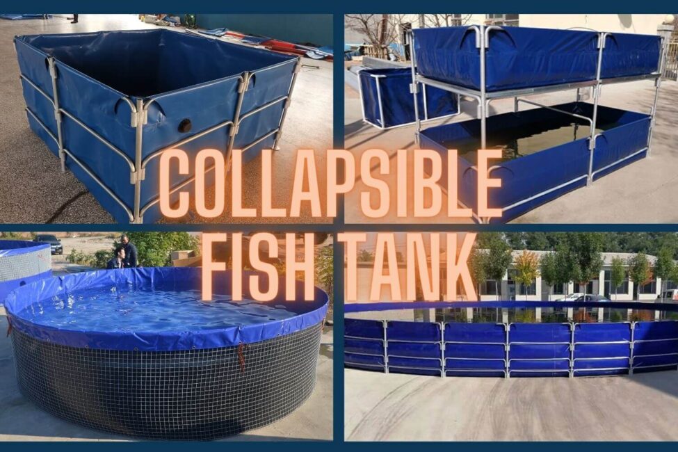 blog-collapsible fish tank collapsible fish tanks-round fish ponds-square fish ponds