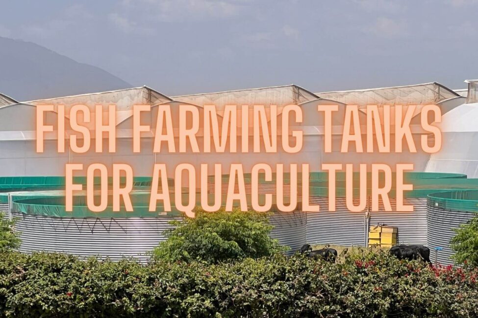 fish farming tanks for aquaculture