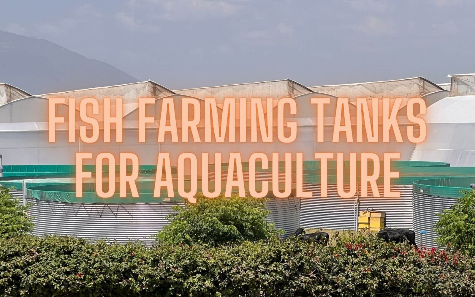 blog-fish farming tanks for aquaculture fish farming tanks for aquaculture